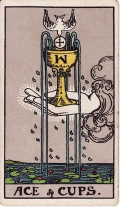 聖杯一 Ace of Cups