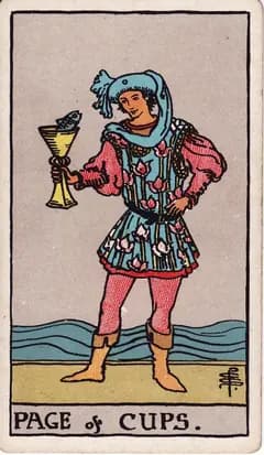 聖杯侍者 Page of Cups
