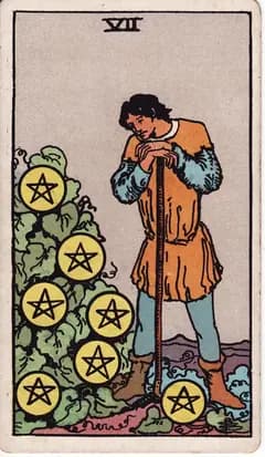 錢幣七 Seven of Pentacles