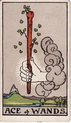 權杖一 Ace of Wands