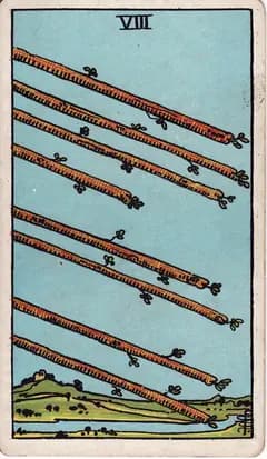 權杖八 Eight of Wands