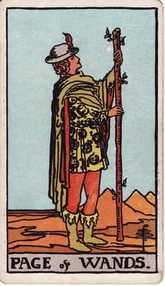 權杖侍者 Page of Wands