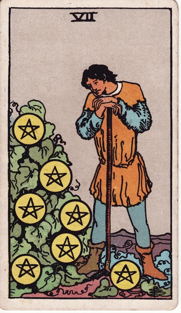 錢幣七 Seven of Pentacles 塔羅牌