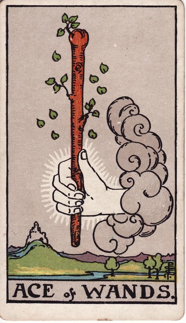 權杖一 Ace of Wands 塔羅牌